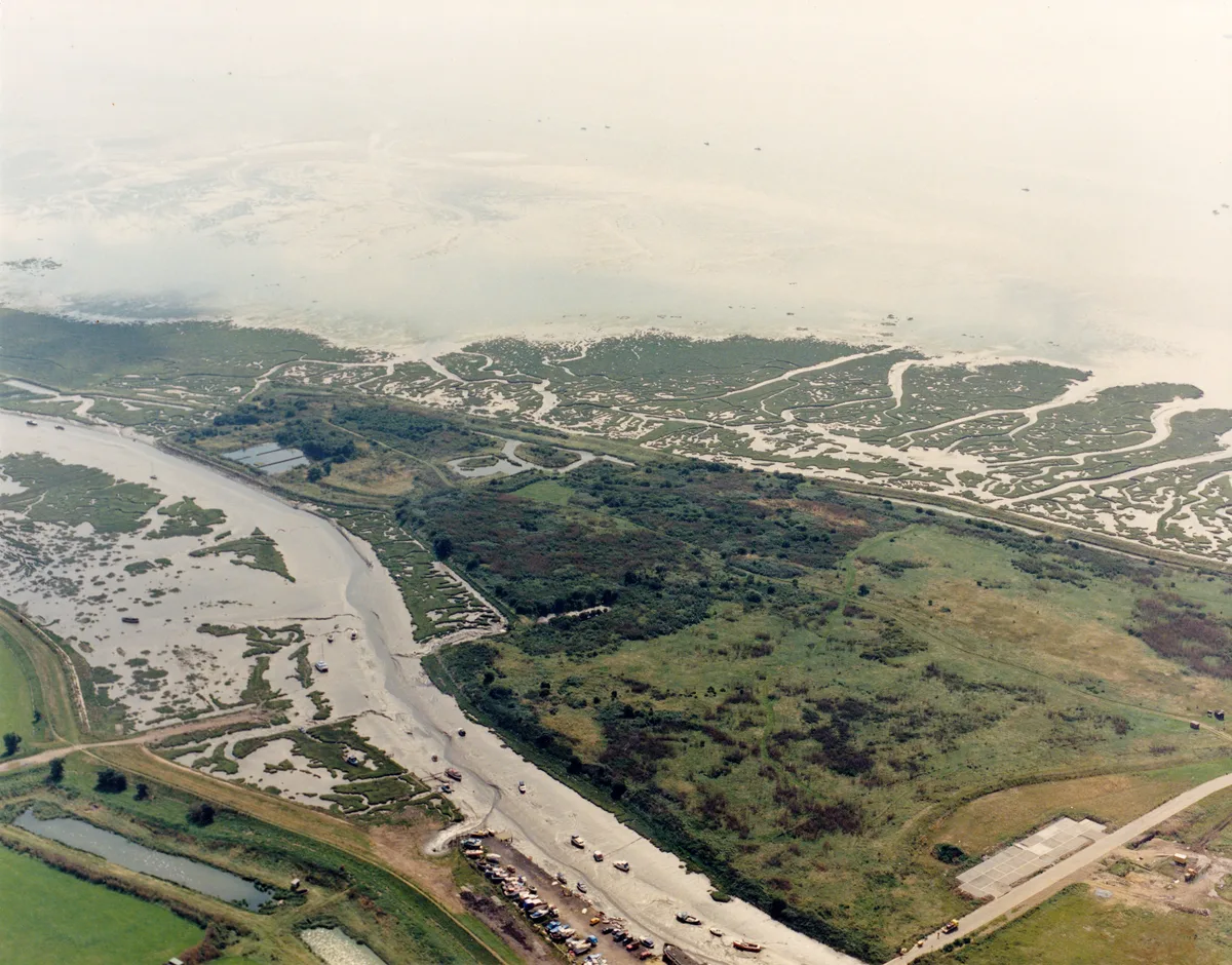 Two Tree Island