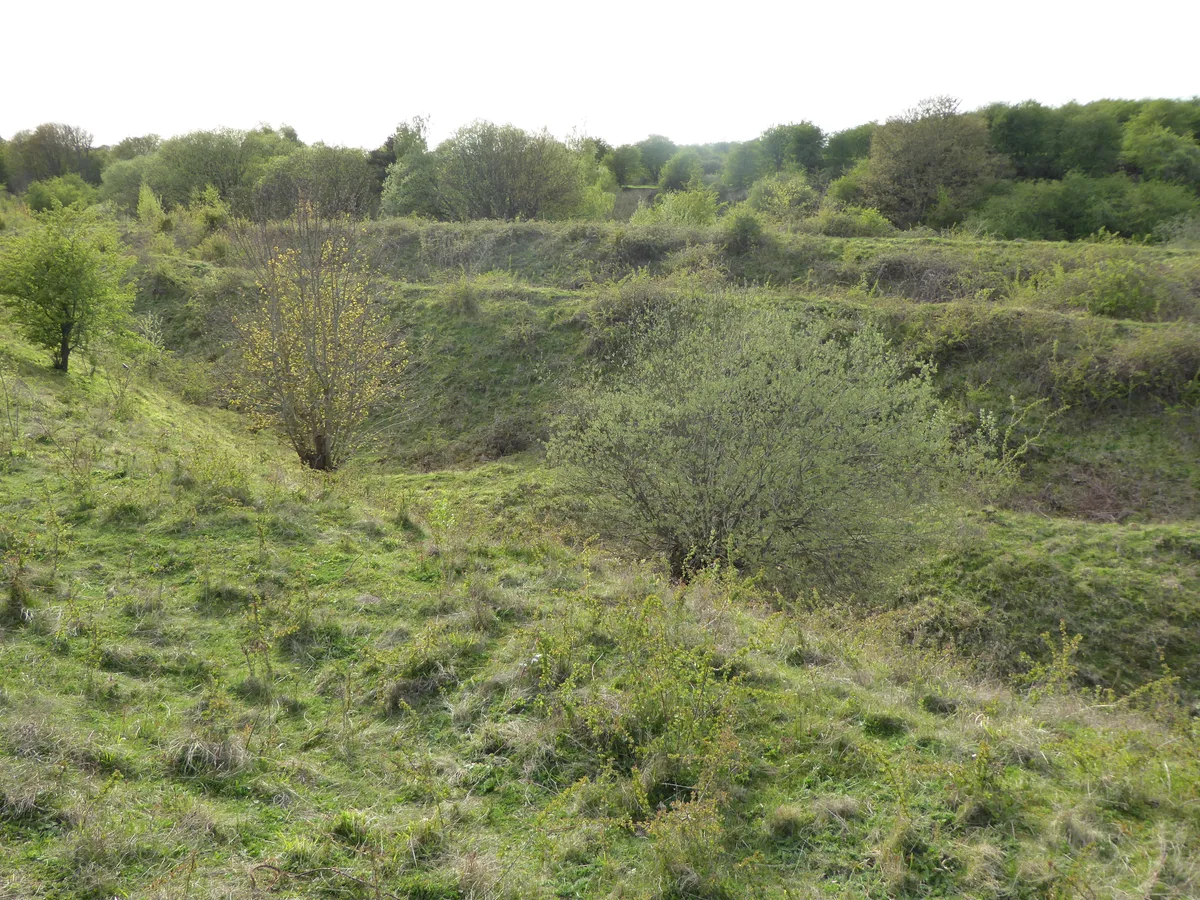 Twywell Hills and Dales
