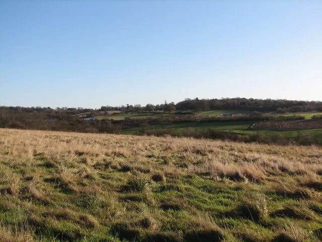 Tylers Common