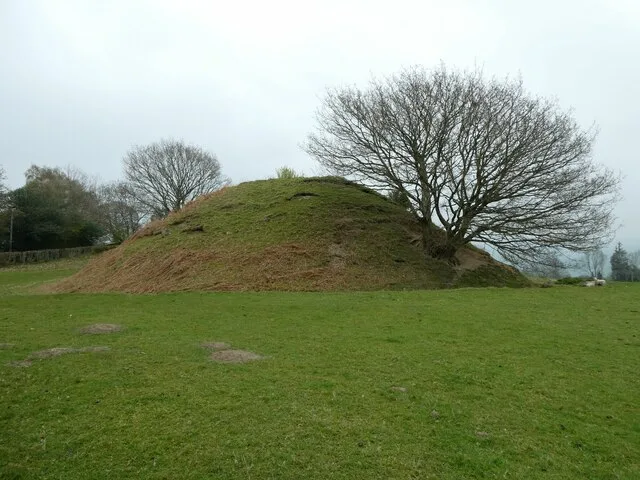 Ty'n-y-Celyn Castle Mound