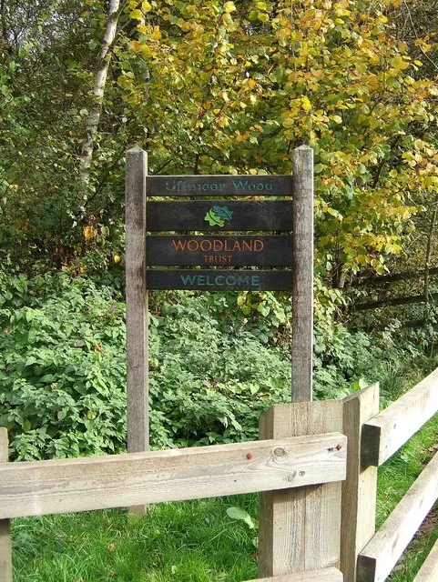 Uffmoor Wood