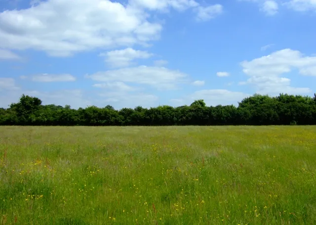 Upwood Meadows