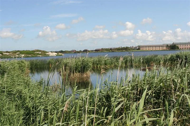 Valley Wetlands