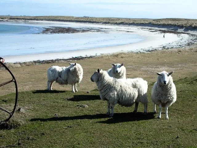 Vaul Bay