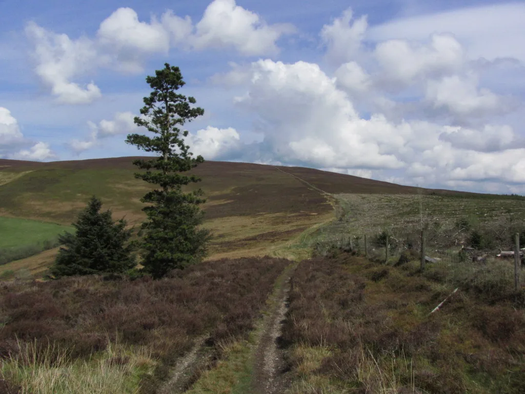 Vivod Mountain