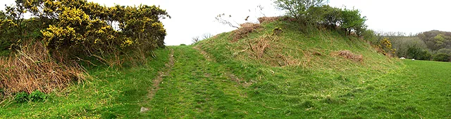 Walwyn’s Castle
