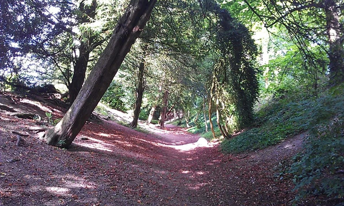 Wandlebury Hill Fort