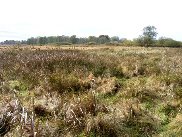 Wangford Warren