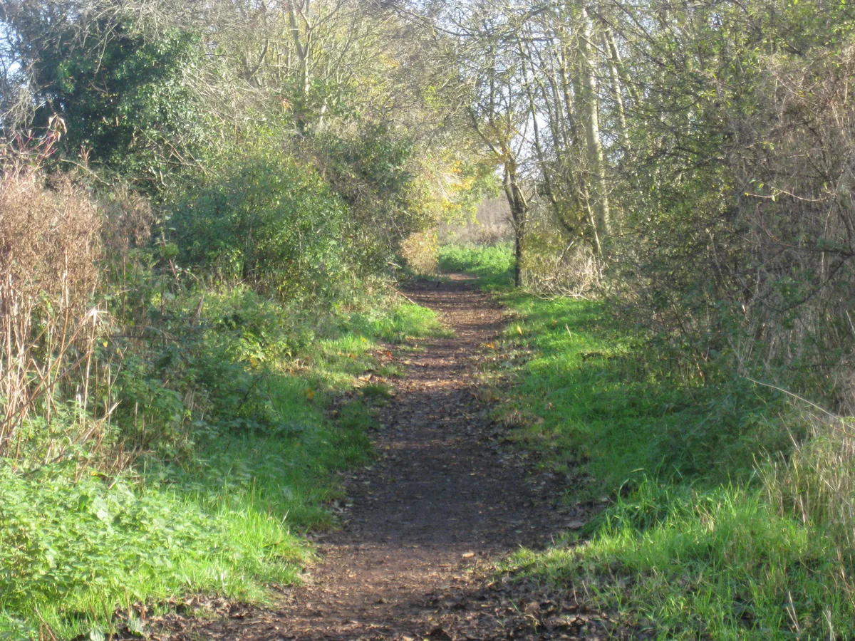 Wansdyke: section 1230yds (1120m) eastwards from Burnt House Inn