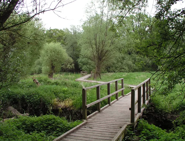 Warnham LNR