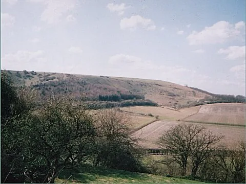 Watership Down