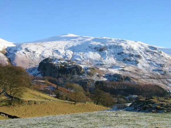 Watsons Dodd