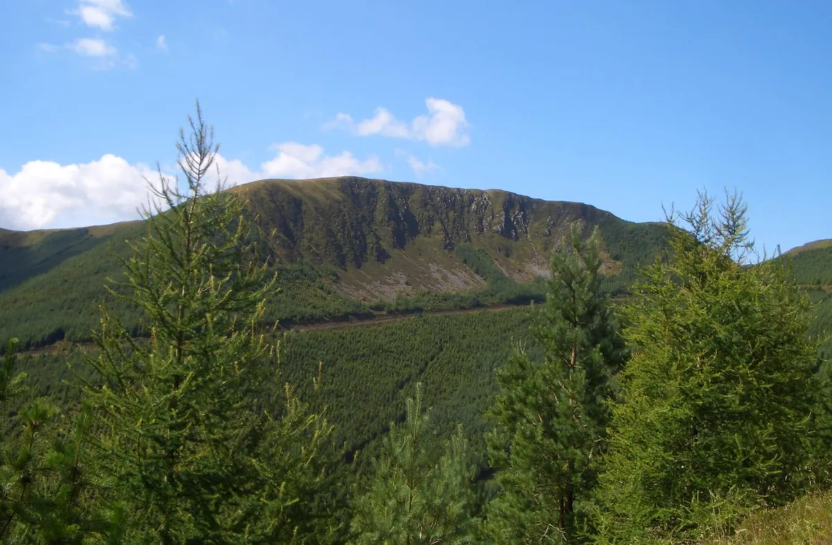Waun-oer