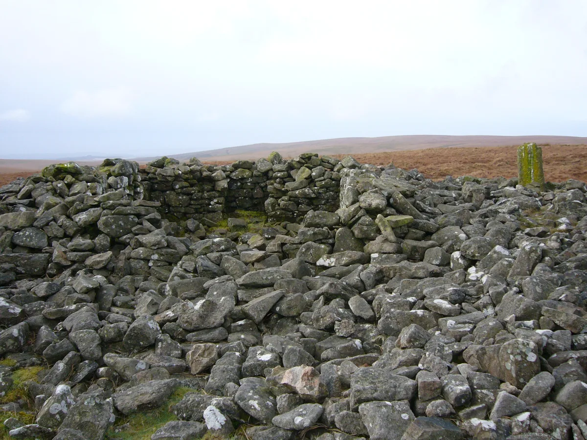 Western White Barrow