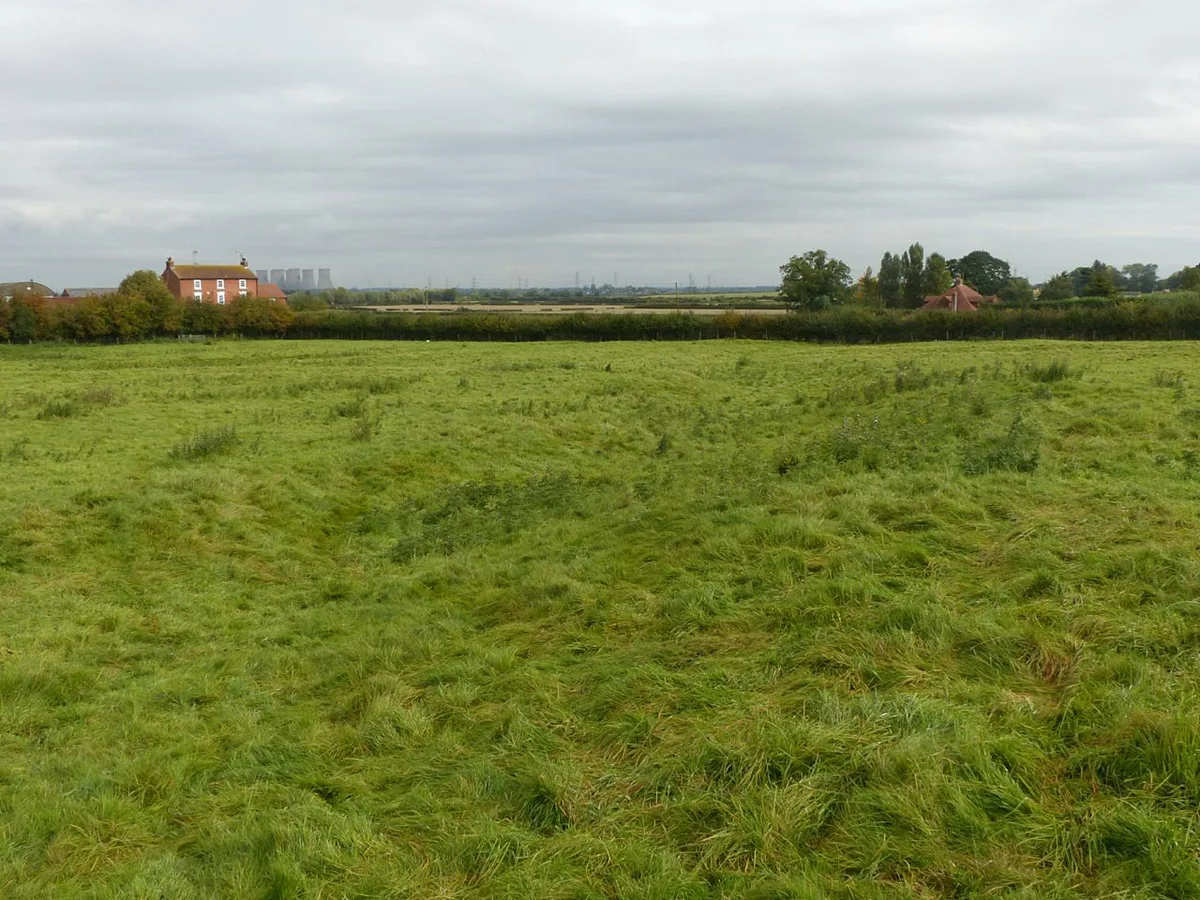 Whimpton Moor medieval village and moated site