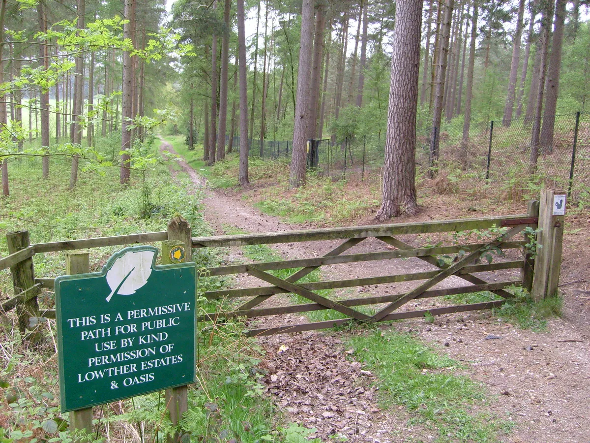 Whinfell Forest