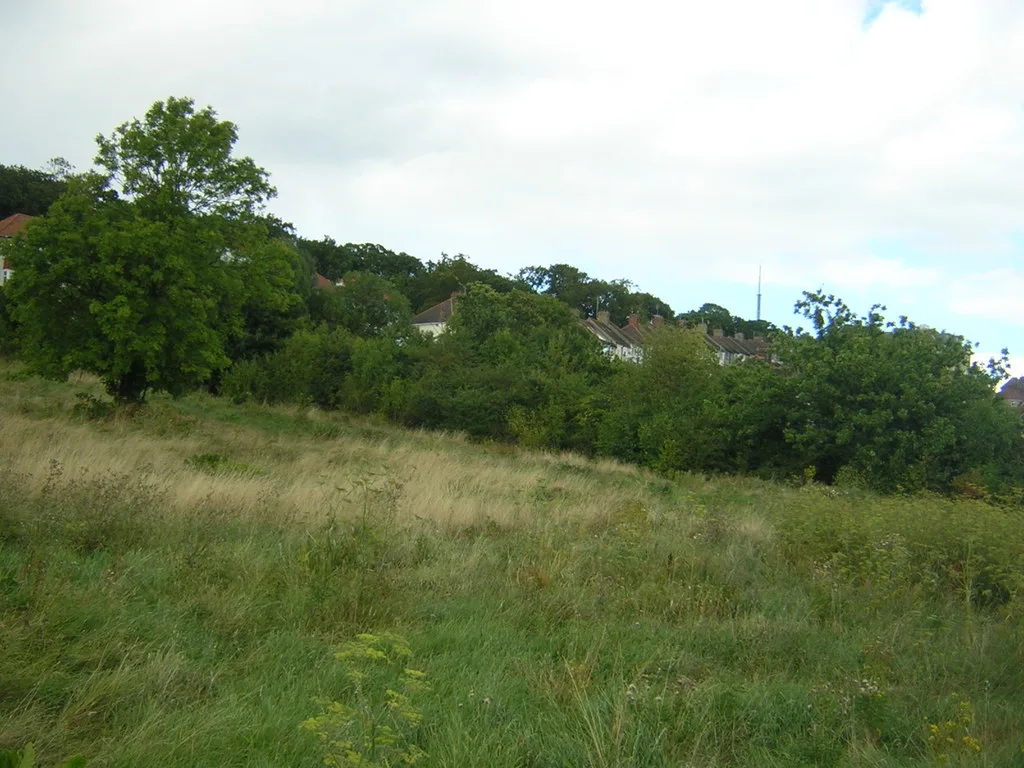 Whitehorse Meadow