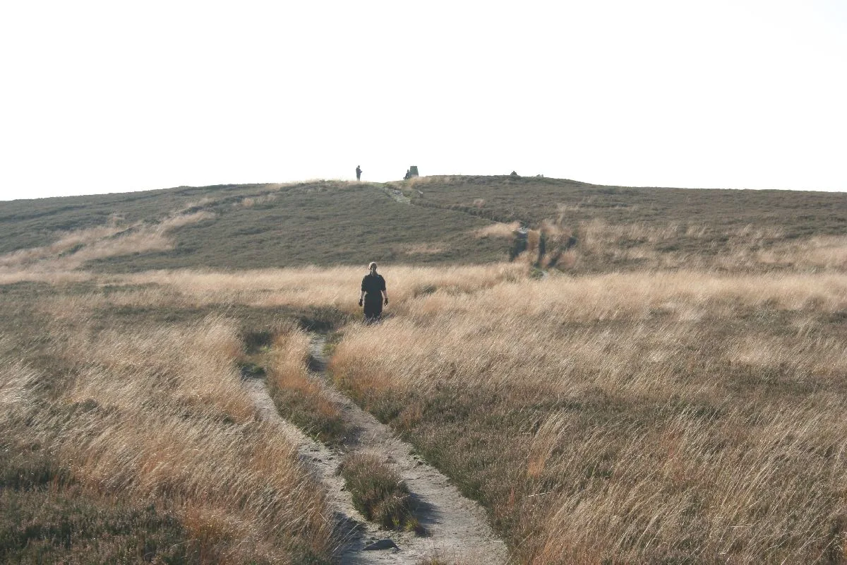 Wild Bank