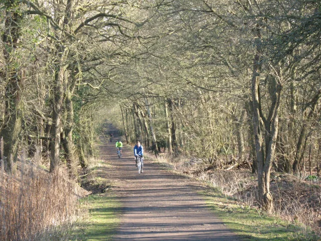 Wimbledon Common