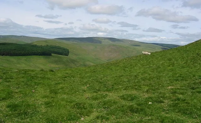 Windy Gyle