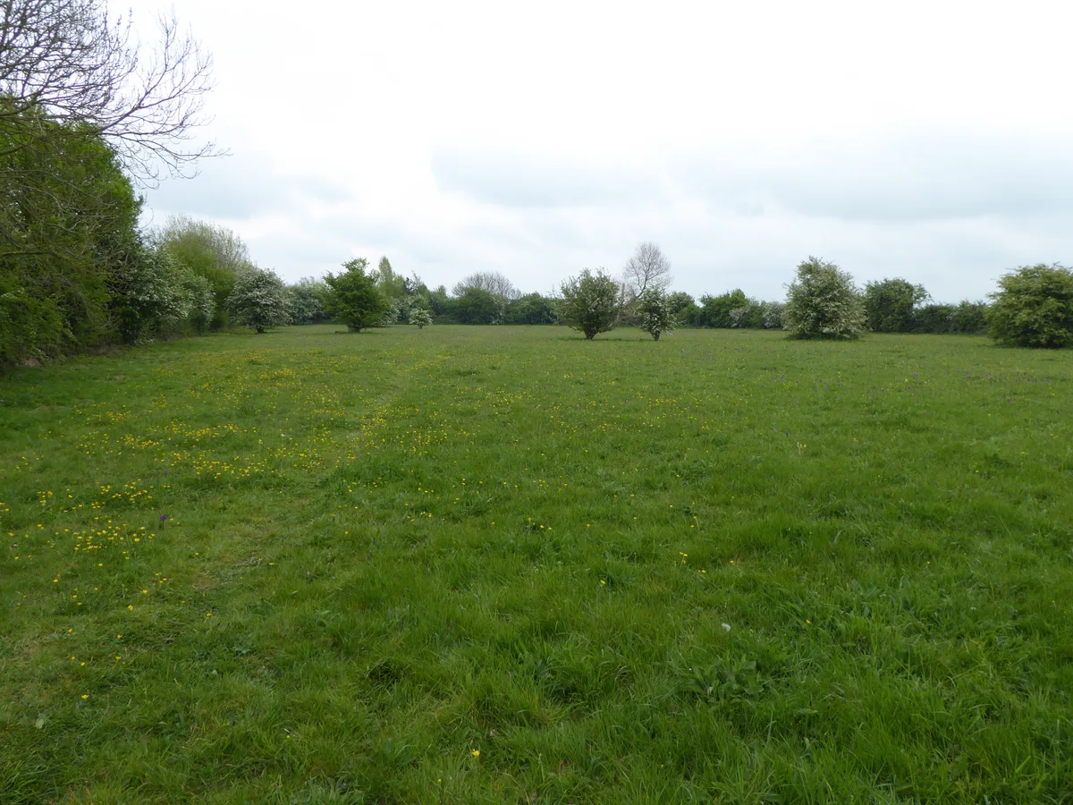 Winks Meadow