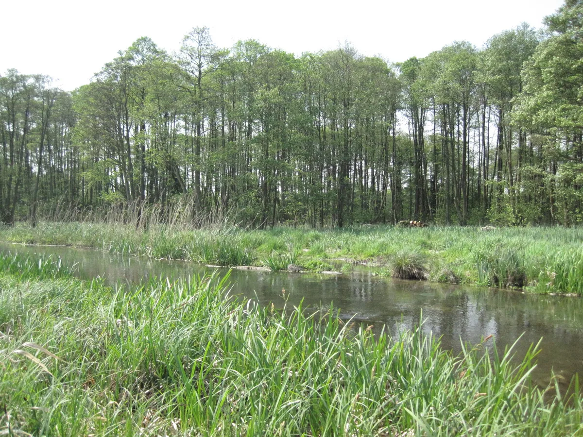 Winnall Moors