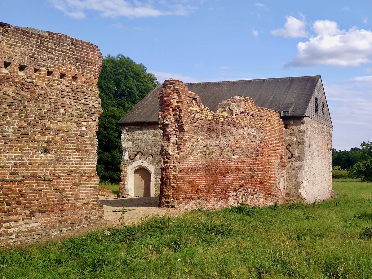 Woking Palace moated site, fishponds and ruins at Oldhall Copse
