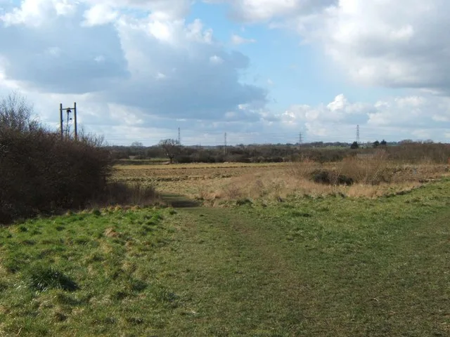 Woodham Fen