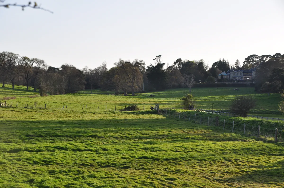 Woodlands Vale