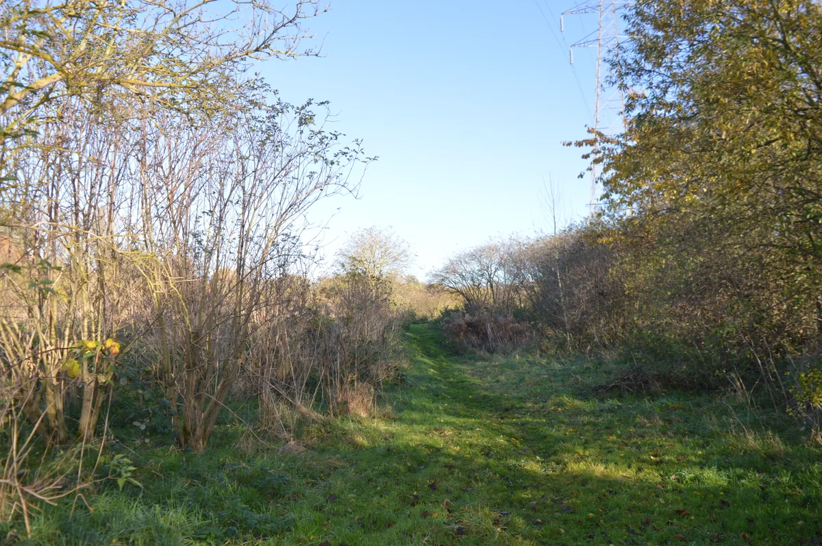 Woodston Ponds