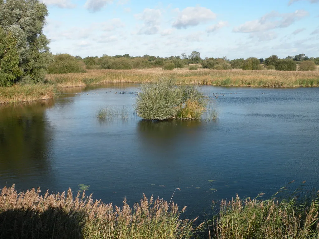 Woodwalton Fen