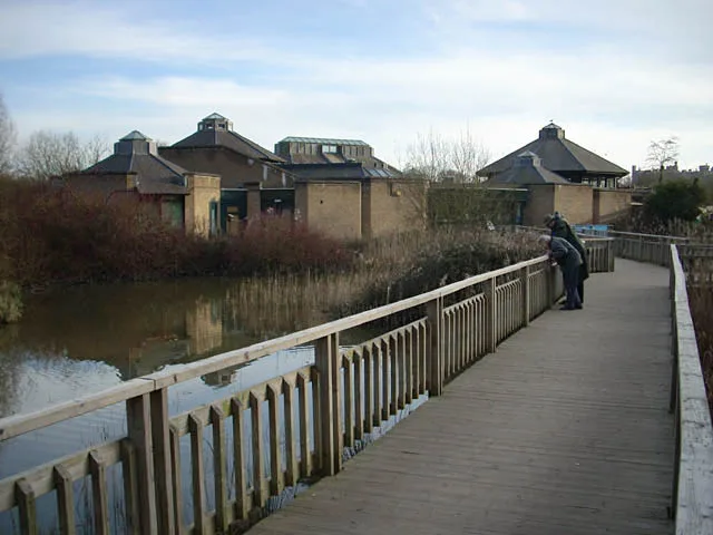 WWT Arundel