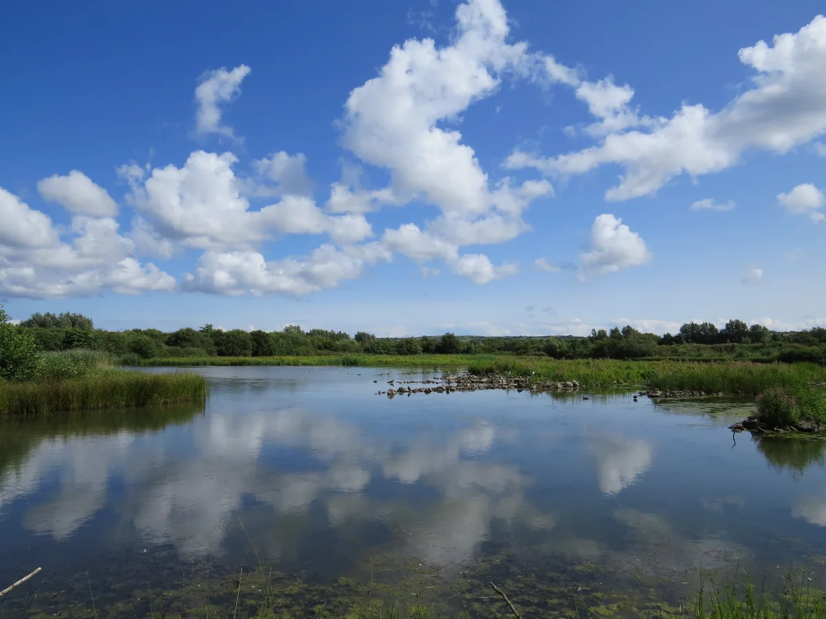 WWT Llanelli Wetland Centre