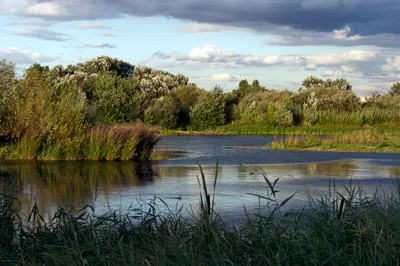 WWT London Wetland Centre
