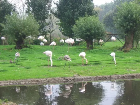 WWT Martin Mere
