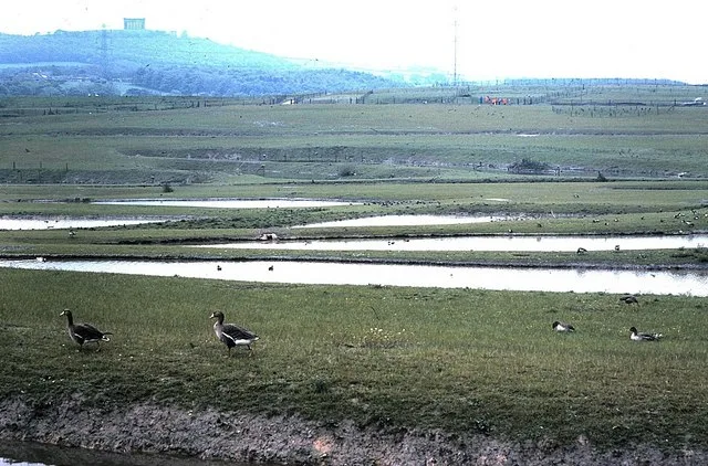 WWT Washington