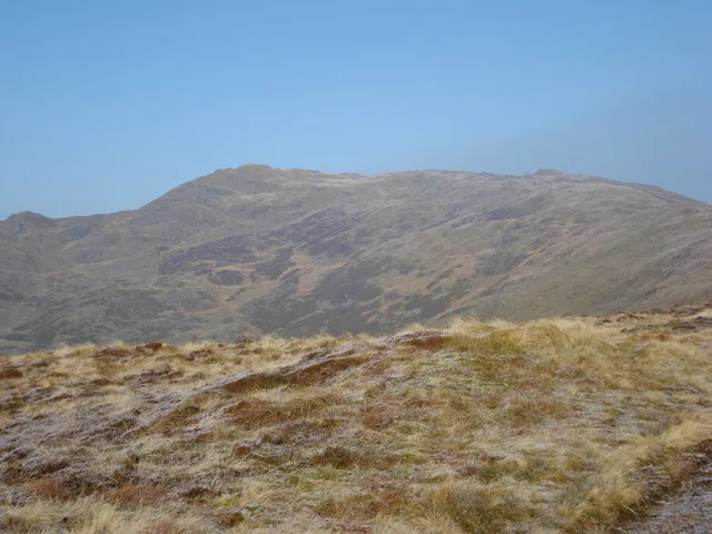 Y Garn