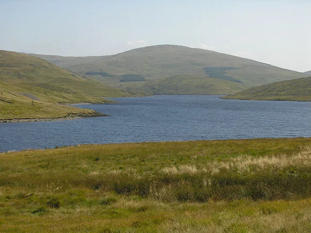 Y Garn