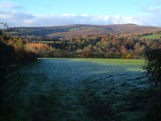 Yarner Wood & Trendlebere Down